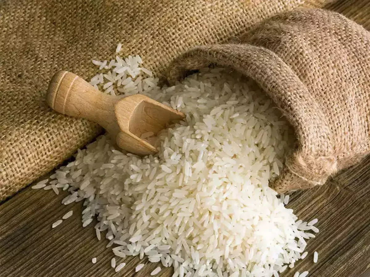 Non-Basmati Rice Exporter India – Shuvendu Saha